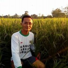 Hardiyanto Andytrans