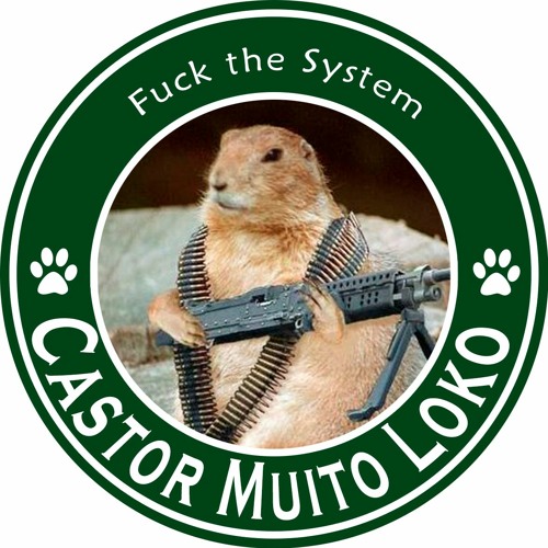 Castor Muito Loko’s avatar
