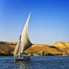 الابيض ضميرك