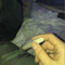user.420