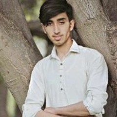 Ibrar Swiftie Walker