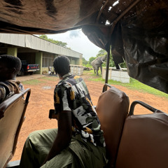 Ike Nana Antwi