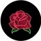 morteza_helish