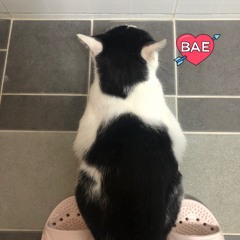 Bae