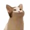 a furry