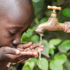 davidgraebershawty2039