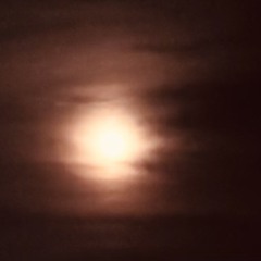 Your Friendly Quasar