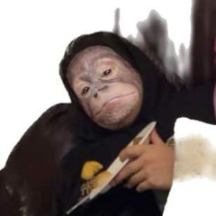 🐸otskwahe🐸 (R.C)