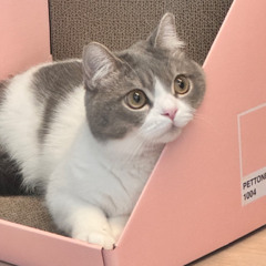 nxfelibata !!!!!! :P