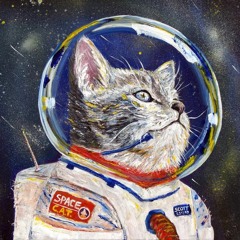 WhoIsThisMeowMeow