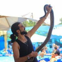 Ayham AL Madani