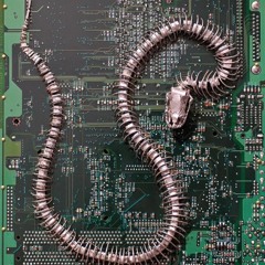 Nothing Lasts Forever