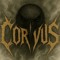 Corvus