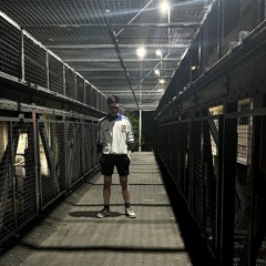 CCND