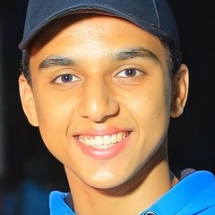 HAMZA ABDELFATTAH ELSAYED