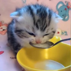 Ishq Mein Kafir Ost Awesome [Xsongspk.me].mp3