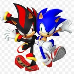 Sonic The Hedgehog and Shadow