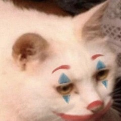 Chillhop Radio 🐾 jazzy/lofi hip hop beats to study/relax to