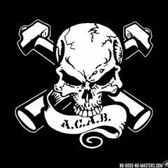 maxii acidifier