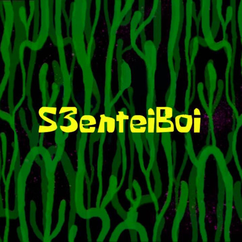S3enteiboi’s avatar