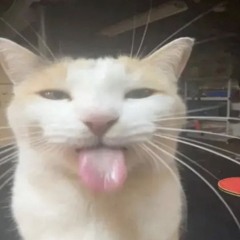 baobob