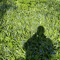 morning meadow
