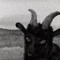 JAAKUNA666