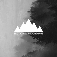 Sectional Recordings