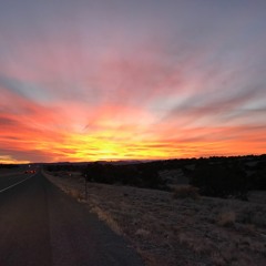 Nora Miller Rubinoff