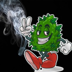 Mr Twippy🌴🔥TWF