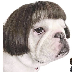 AliBongo