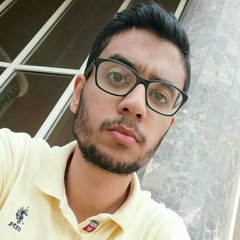 أنس بكري النجار