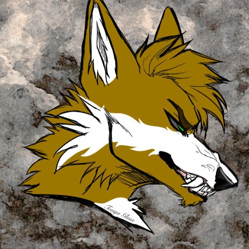 WolfFangTKF’s avatar