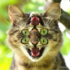 😈😈 Demon Child 😈😈