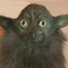 real666xxxxxxxxxxxxxxxxxL