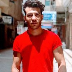 Mohamed Amr