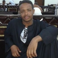 Mustafa Al-Amir