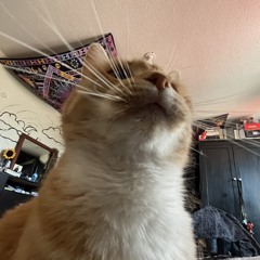 Strawberries have lost their sweetness