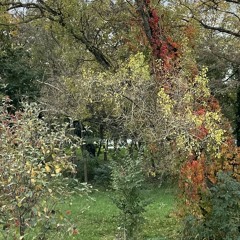 bezeslov