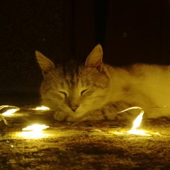 хлеп