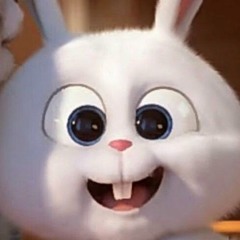 zaxaoo