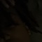 YVNGJ4Y (@yvngjxy)