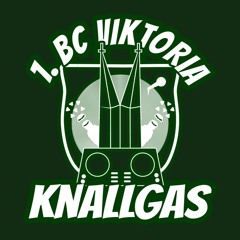 1. BC Viktoria Knallgas