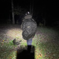 Lugges