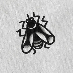 fly