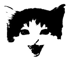 ciivc
