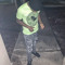 virall rodd