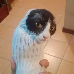 aw