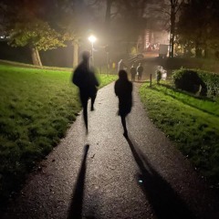 De Nachtvlinder