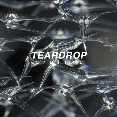 teardrop digital’s avatar